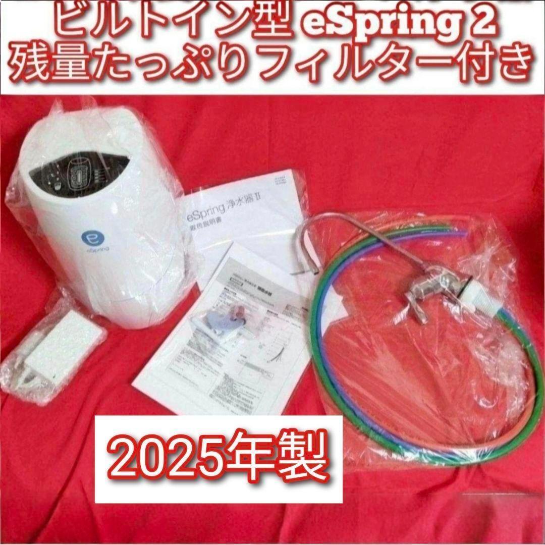 Amway 2025年製 ビルトイン型 eSpring 2 アムウェイ 浄水器@拍卖