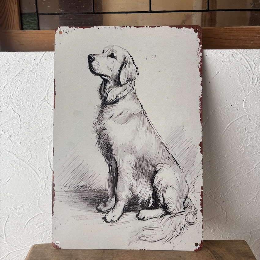 ブリキ看板 ゴールデンレトリーバー・スケッチ 海外直輸入 犬拍卖