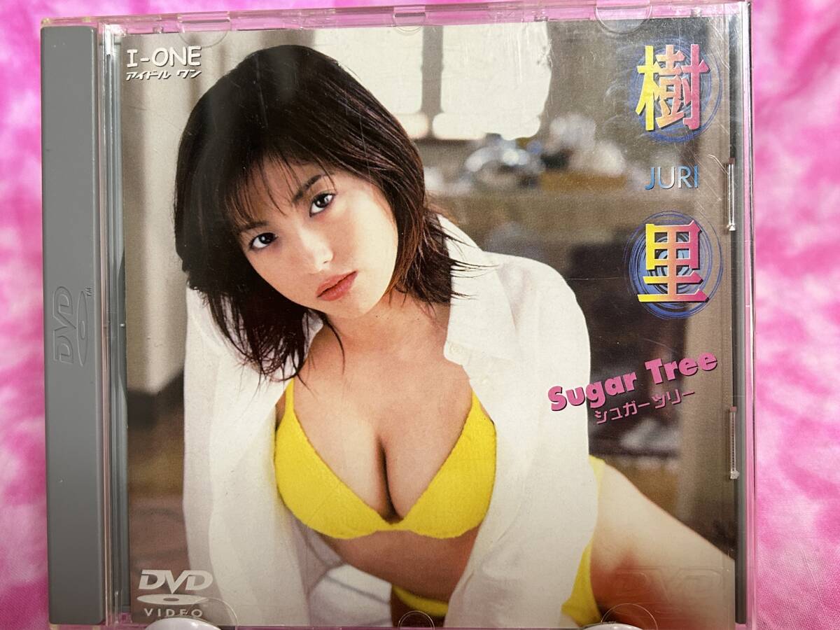 樹里 Sugar Tree イメージ グラビアアイドルDVD拍卖