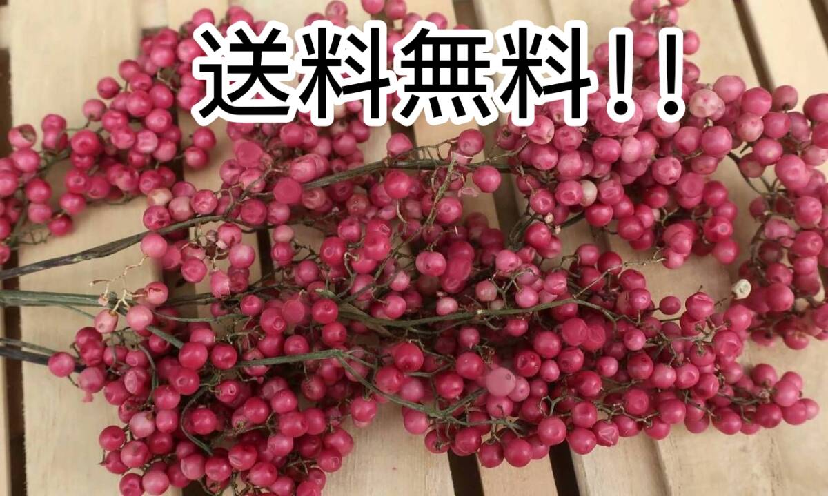 【送料無料】ペッパーベリーピンク大束・ハーバリウム めぐみ工房 北海道ドライフラワー拍卖