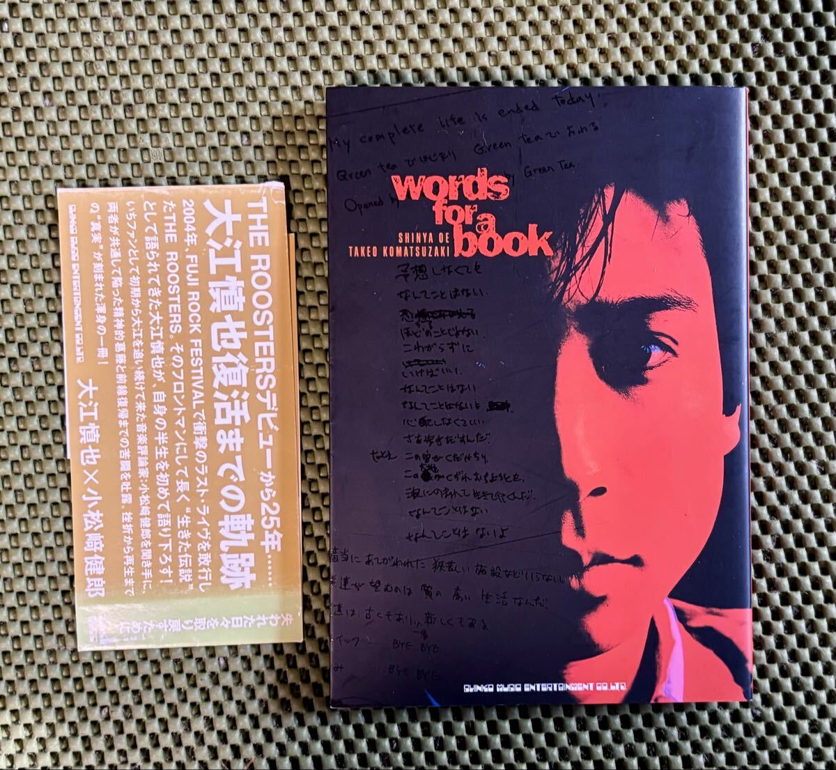 【大江慎也words for a book】初版/ザ・ルースターズ ROOSTERS拍卖