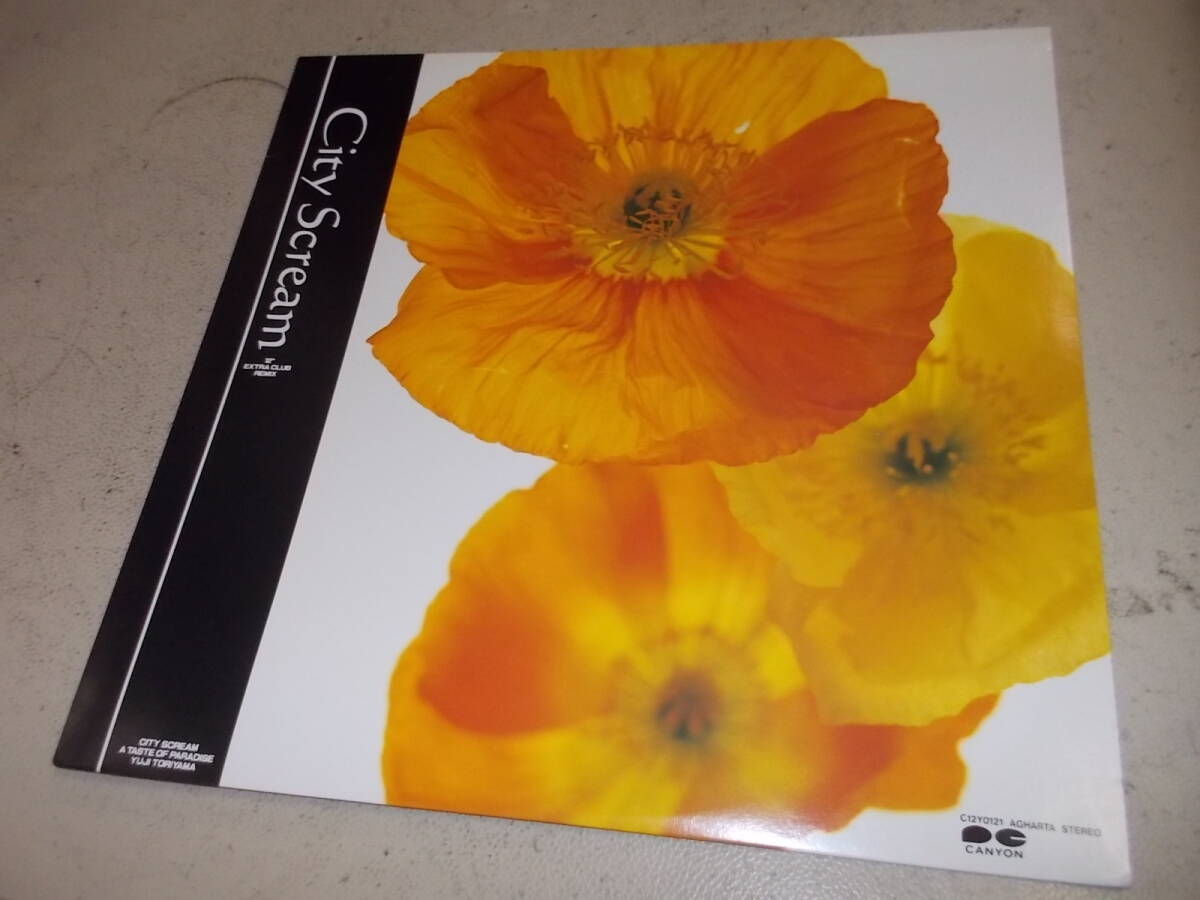 爆音12インチ・シティ・ポップ名盤!鳥山雄司【シティ・スクリーム】拍卖