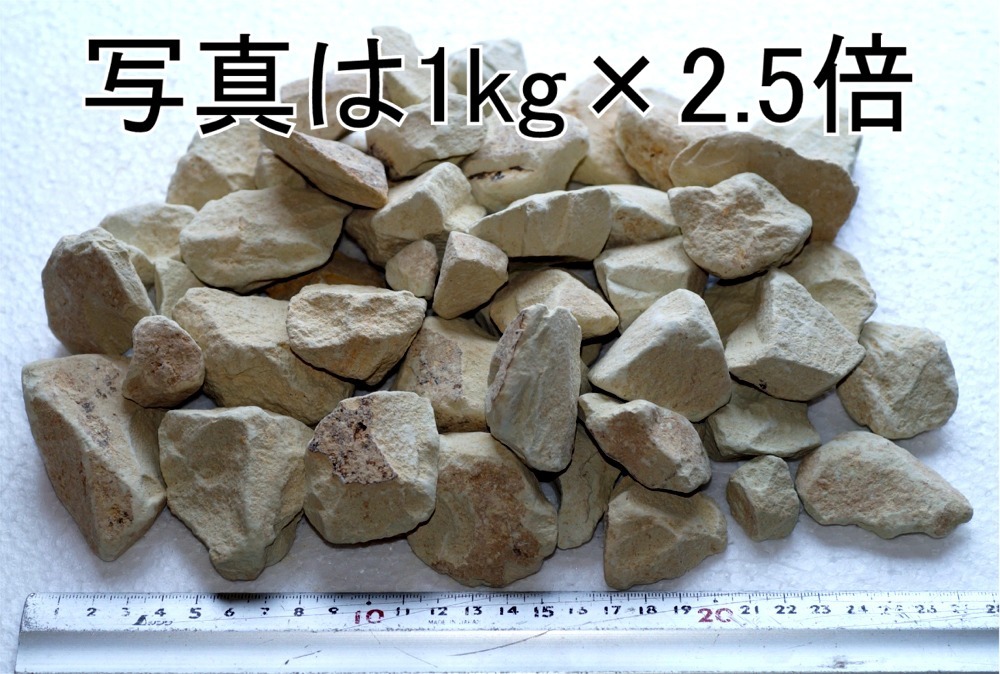 (有)JUN 高純度 国産モンモリロナイト 2.5kg 水質改善に効果あり!! ミネラル 補給 シュリンプ 水草 観賞魚 新品 拍卖