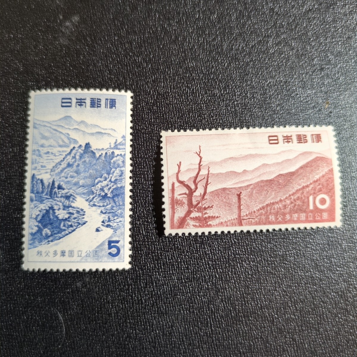 第1次国立公園 秩父多摩 ペア拍卖