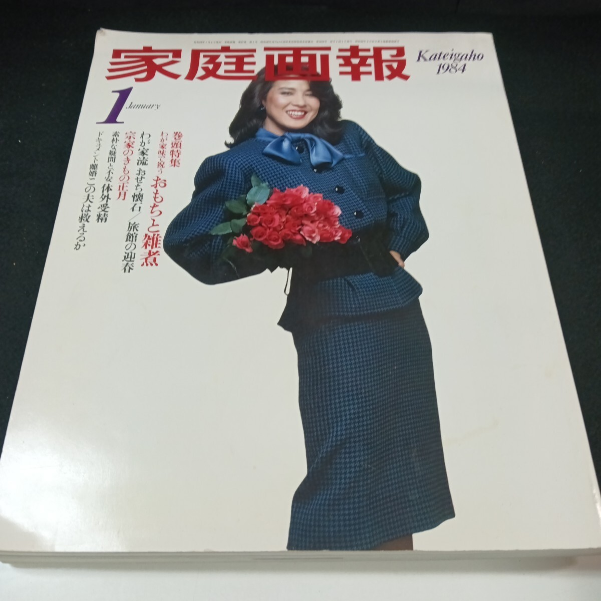 Gb-001/家庭画報1 1984年 巻頭特集 わが家味で祝う おもちと雑煮 ドキュメント離婚この夫は救えるか /L6/71022拍卖