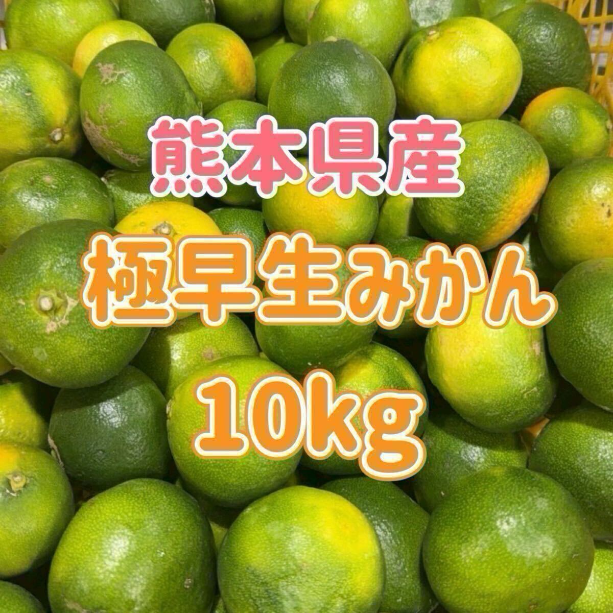 熊本産◎極早生みかん!!サイズ混合 10kg(送料無料)拍卖