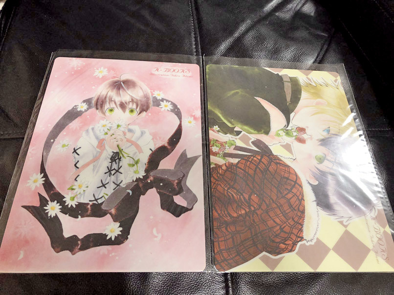 あづみ冬留 イラスト 下敷き 2枚セット あづみ花丸 寿亭 アクエリアンエイジ K-BOOKS 3/あづみ亨・とおる ケイブックス拍卖