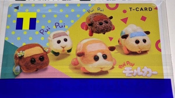匿名配送 Vポイントカード PUI PUI モルカー PUIPUIモルカー 新品 未登録 Tカード拍卖