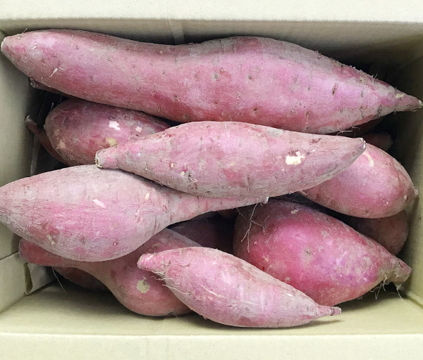 自然栽培 さつま芋(4kg)★熊本県産★安心安全の無肥料・無農薬★長年、自然と共生する農法で野菜を作っています♪究極の自然農法(*^^*)拍卖