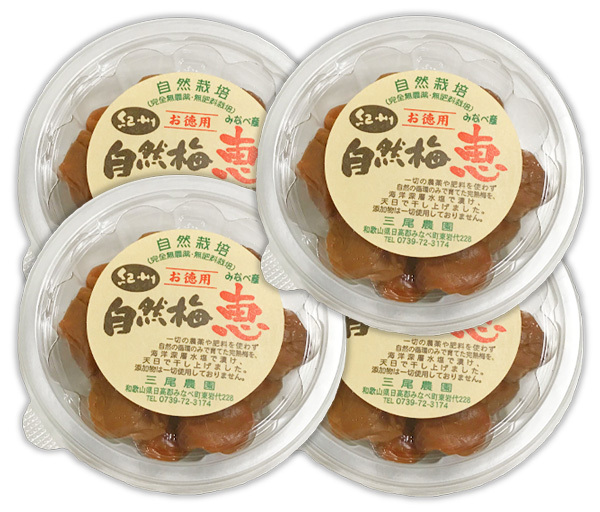 紀州自然梅「恵」お徳用 800g(200gX4個)★無添加・無着色★無肥料・無農薬の究極の自然栽培★古くからある和歌山の優良品種♪大粒果肉♪拍卖