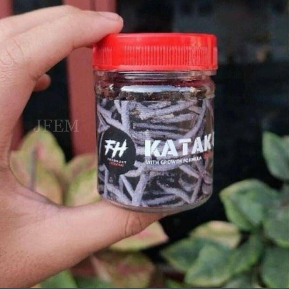 お試し小分け!10g入り Pelet Katak Giling Feedhunt 沈下性 / スネークヘッド専用飼料 / カエル100% / JFEM ジェフェム拍卖