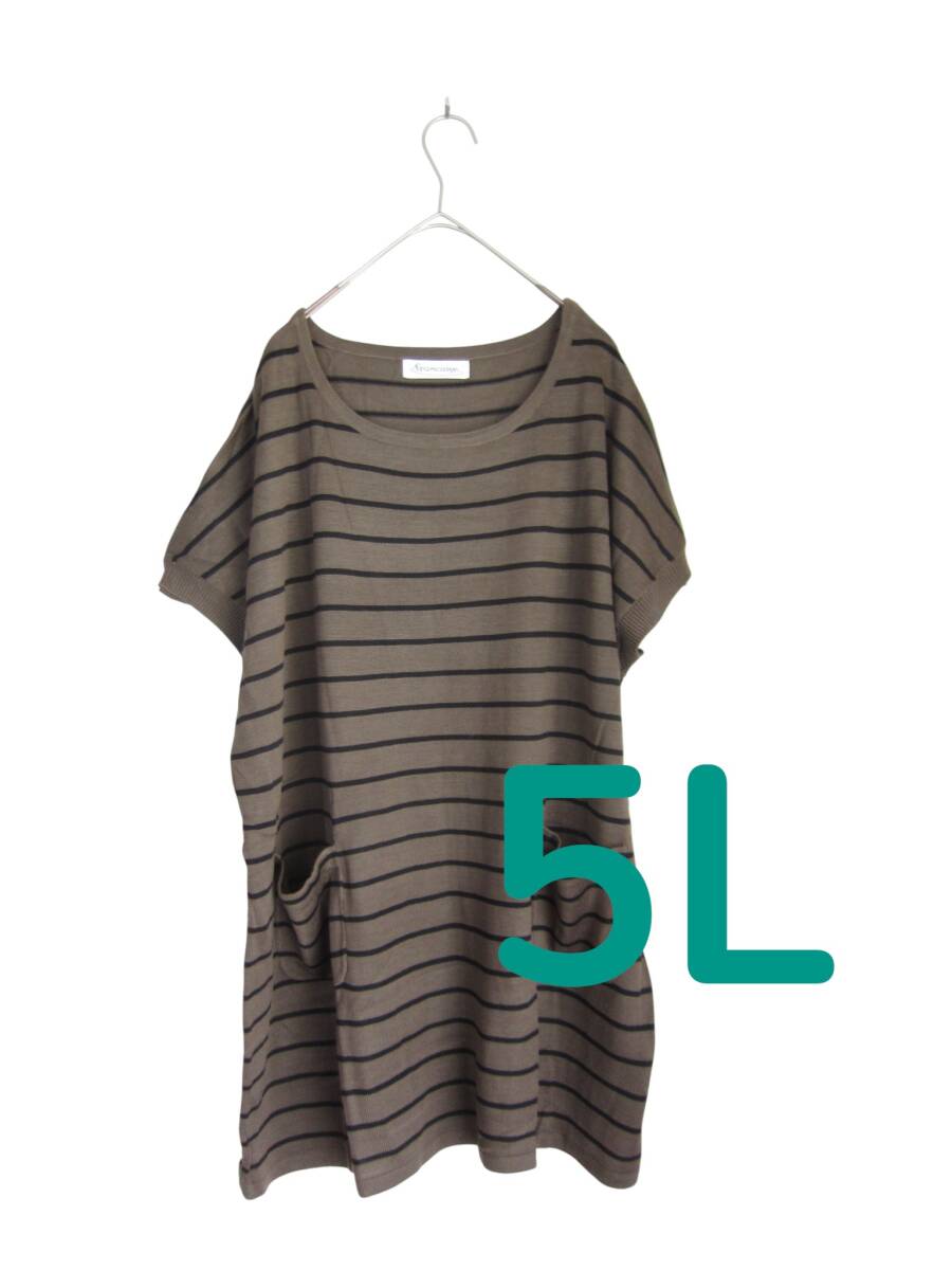 送料無料 M31 新品 【5L】 ブラウン ボーダー 半袖 ニット ドルマン 重ね着に! 大きいサイズ ゆうパケットポスト拍卖