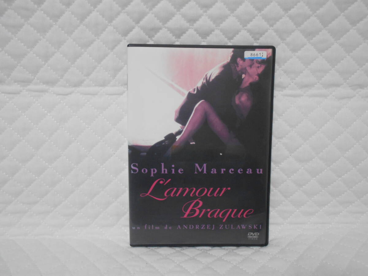 レンタルDVD 狂気の愛拍卖