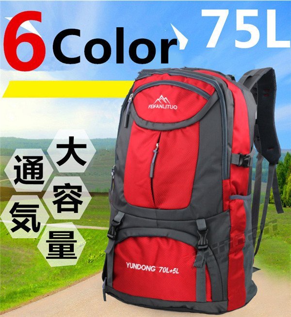 リュック リュックサック メンズ サック 男女兼用 登山 バック 防水 大容量 軽量 デイパック トレッキング スポーツ 旅行 ア拍卖