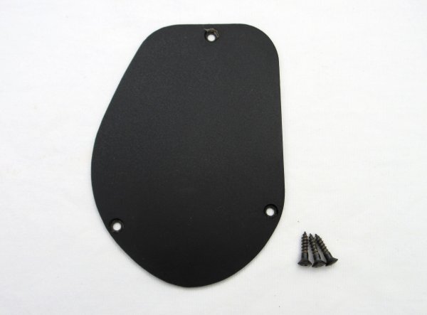 FERNANDES フェルナンデス コントロールバックパネル 中期型FR 94年製FERNANDES FR拍卖