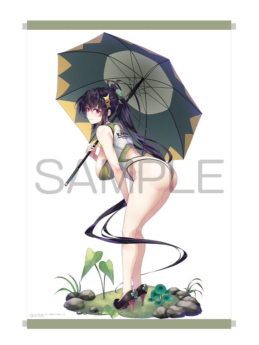 ハイスクールD×D DX.8 特級アクマのおしごと 8巻 メロンブックス有償特典 B2タペストリー 姫島朱乃 石踏一榮 みやま零拍卖