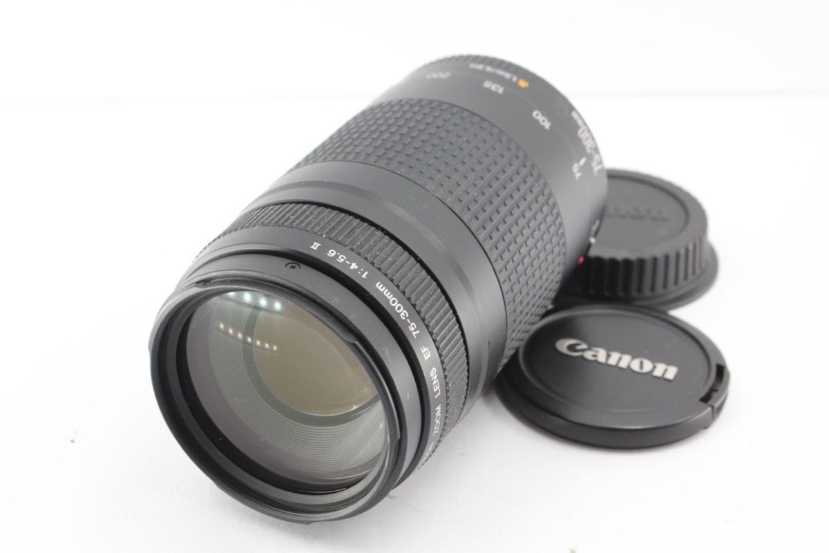 ★特上品★キヤノン CANON EF 75-300mm F4-5.6 Ⅱ 《キャップ 付き》 #A5434拍卖