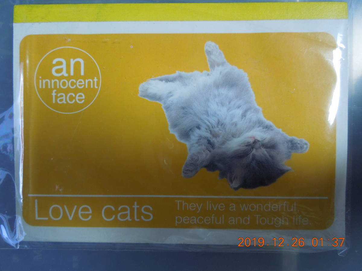 子猫 メモパッド & シール 未使用 / チンチラ ペルシャ 日本猫 雑種 茶白 三毛猫拍卖