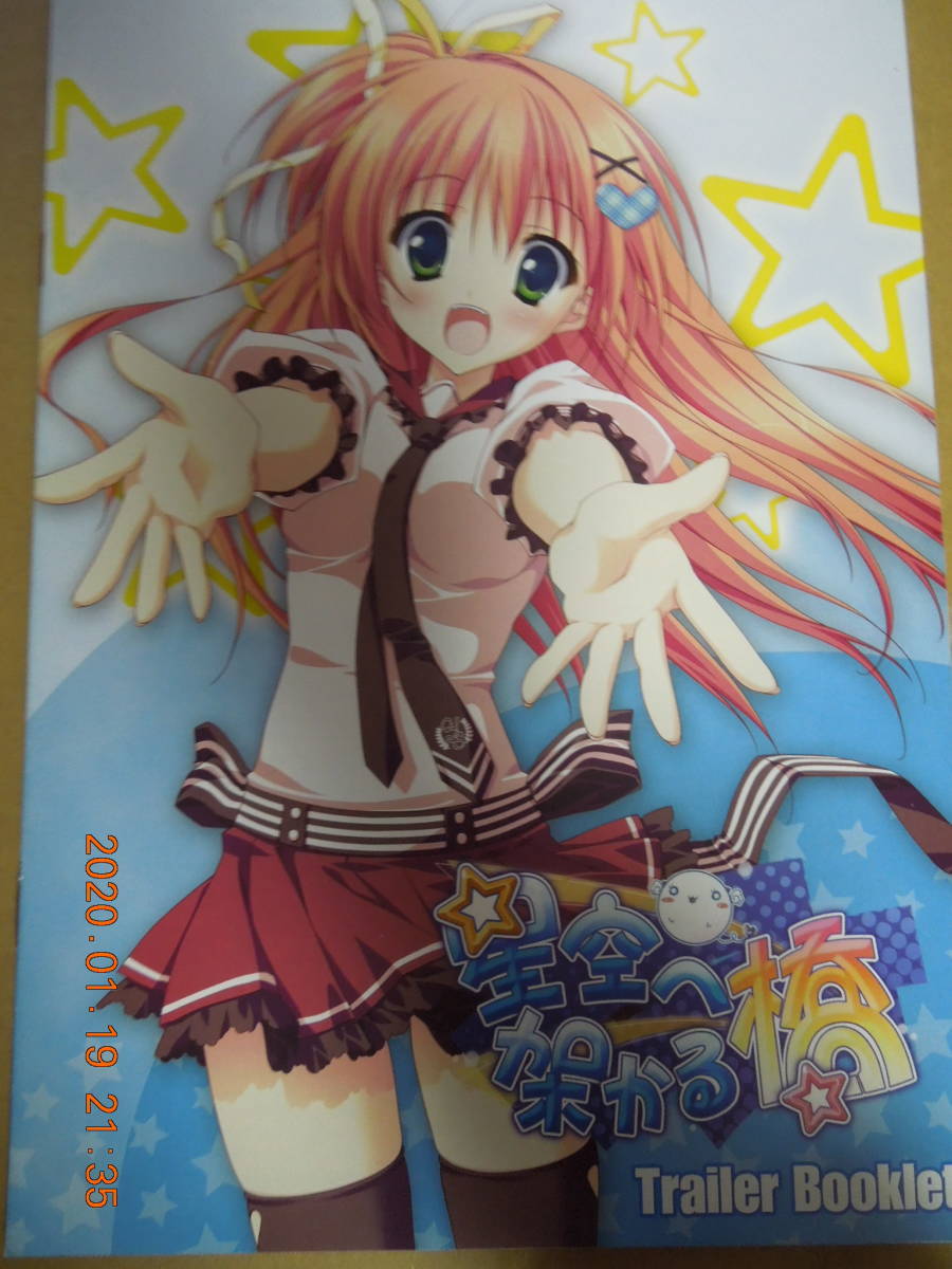 星空へ架かる橋 Trailer Booklet / TECH GIAN 2010年4月号 付録小冊子 / 涼香 なちゅらるとん 鶴崎貴大 有河サトル 澤野明拍卖