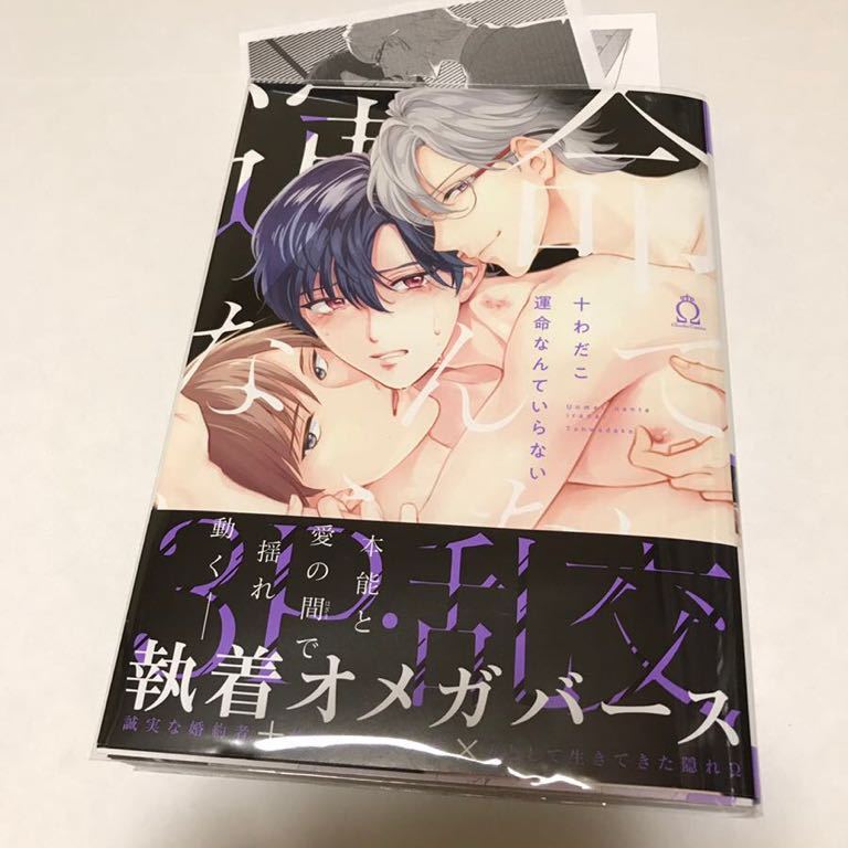 BL 3979 運命なんていらない…十わだこ(ペーパー)拍卖