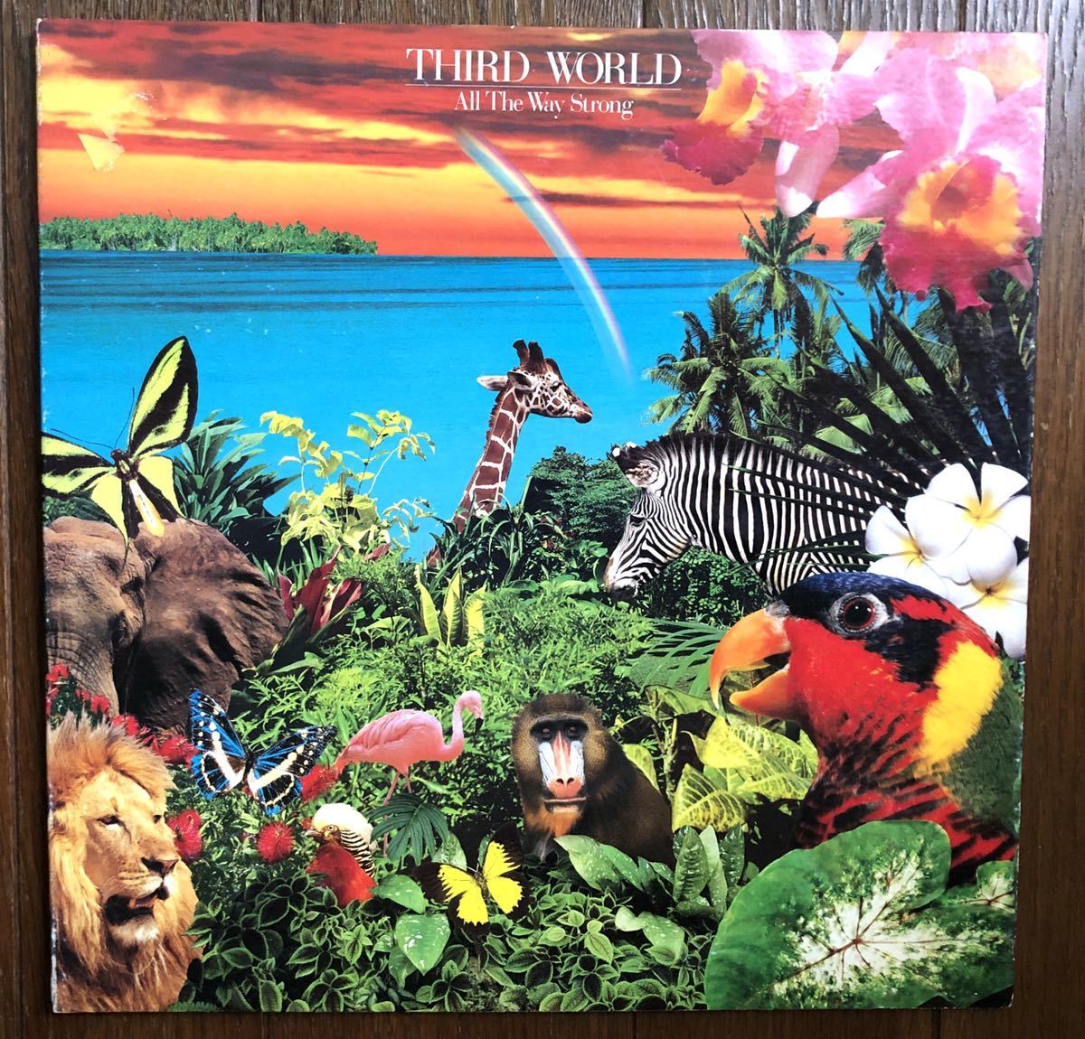 1983 Third World / All The Way Strong サード ワールド ホット ワンダーランド 日本企画盤 見開きジャケ Masaru Kawahara 絶版拍卖