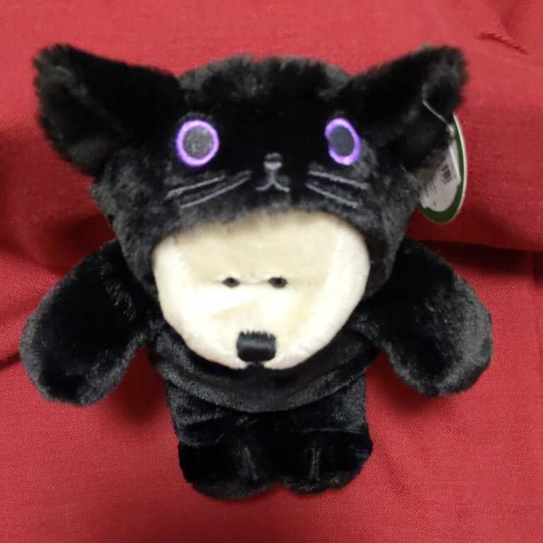 ハロウィン2020 べアリスタブラックキャット くま クロネコ スターバックス スタバ タグ付き 新品 即決拍卖