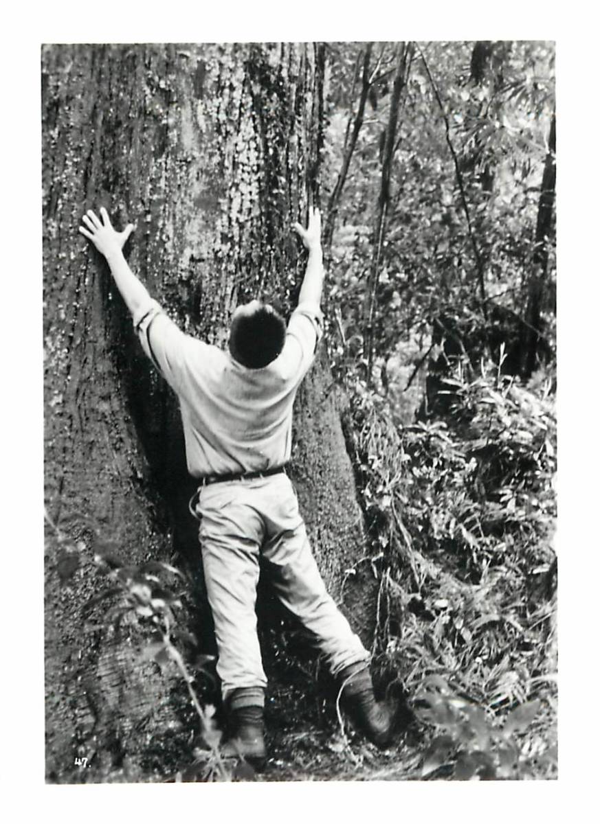 p40501『火まつり』スチル 柳町光男 北大路欣也 太地喜和子 中本良太 宮下順子拍卖