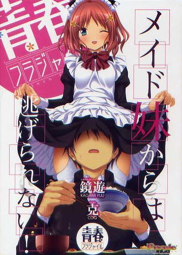 青春フラジャイル/パープルソフトウェア 駿河屋特典スリーブケース拍卖