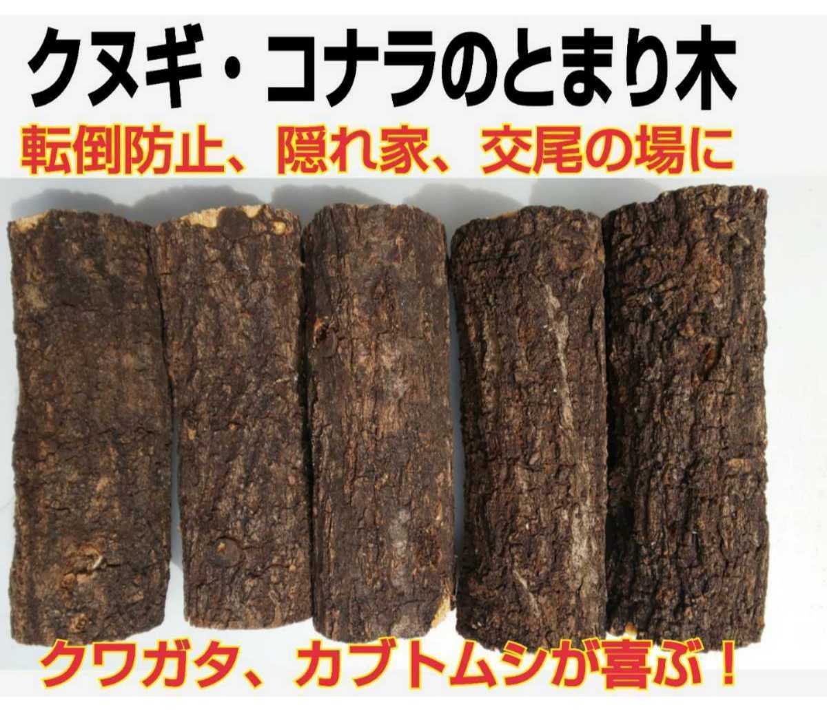 とまり木5本セット!クワガタ、カブトムシが最も喜ぶコナラやクヌギ☆ケース内のディスプレイ 遊場、隠れ家、転倒防止、交尾の場に最適!拍卖