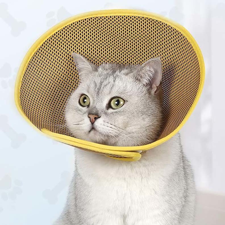 エリザベスカラー 猫犬 軽量 ストレス軽減 介護用品 手術後ケア M拍卖