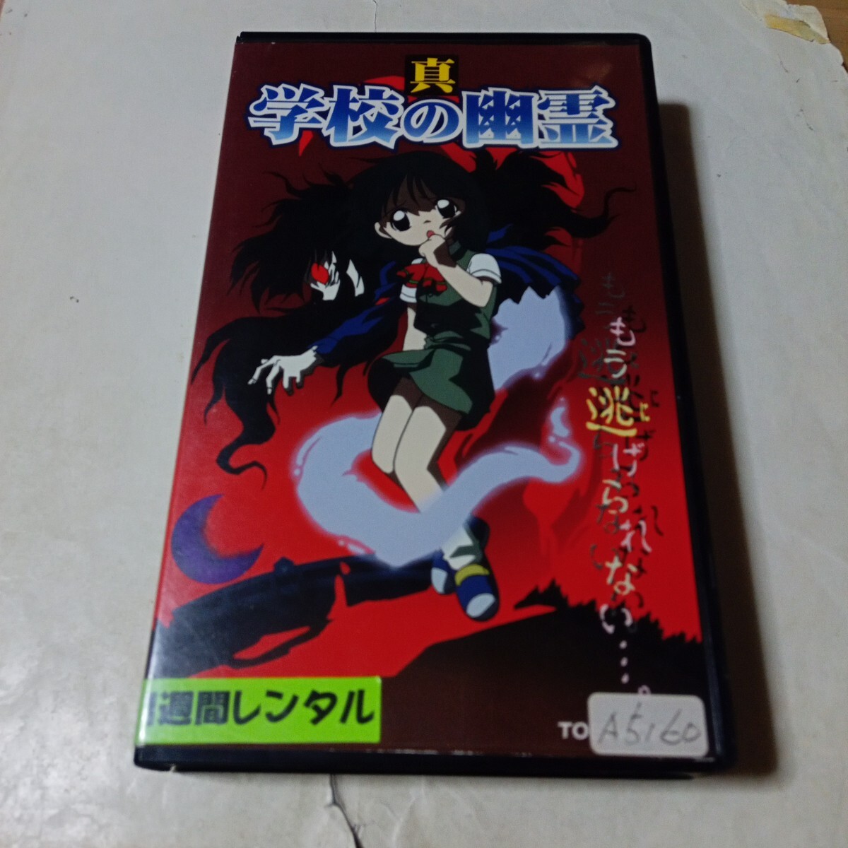 VHSビデオ OVA 真・学校の幽霊 DVD未発売作品 出演・高木渉、山口勝平、氷上恭子拍卖