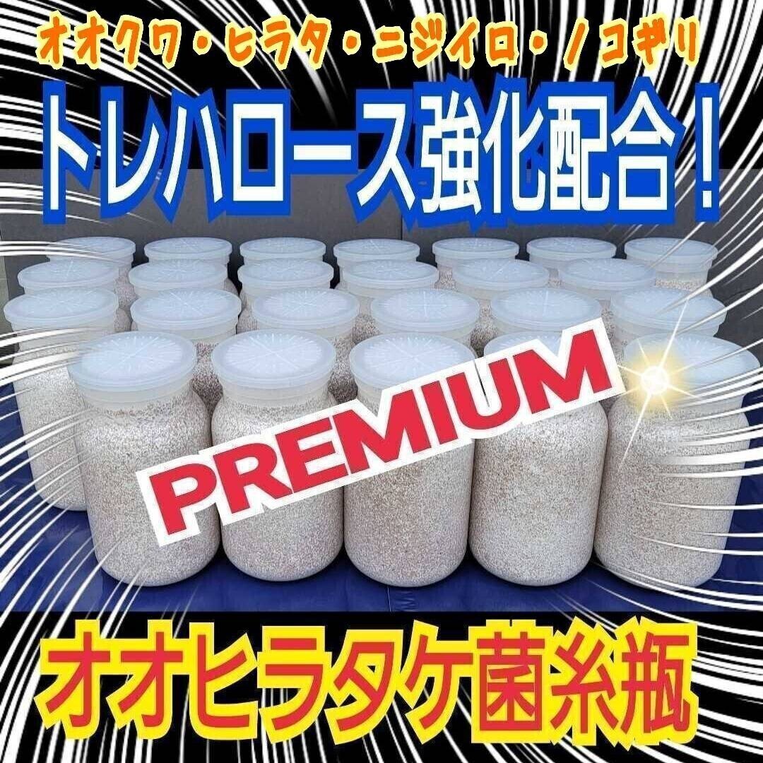 クワガタ幼虫が巨大化します! 菌糸瓶 オオヒラタケ【2本】栄養添加剤+共生バクテリア強化配合 菌糸ボトル クワガタ幼虫の餌 菌糸ビン拍卖