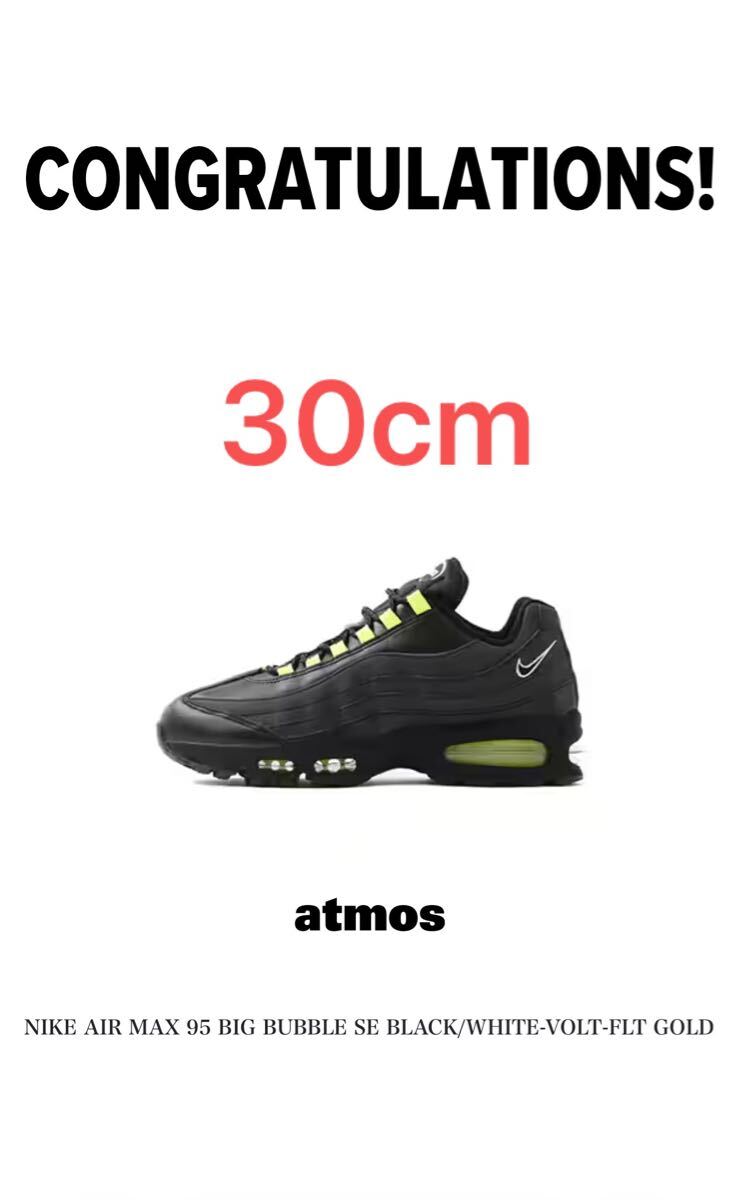 30cm US12 Nike Air Max 95 OG Big Bubble HRJK ナイキ エアマックス95 ビッグバブル 原宿 ハラジュク拍卖