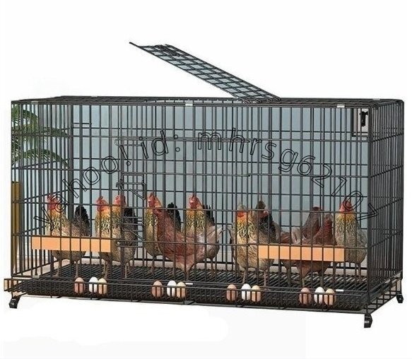 実用品★鶏用ケージ飼育ケージ ためのトレイと卵トレイ付き 4-6鶏 大きな鶏小屋鶏小屋家禽ケージ アウトドア家庭用飼育 100x60x70 cm拍卖