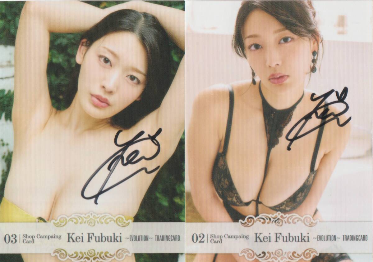 風吹ケイ 3 EVOLUTION トレーディングカード 直筆サイン入 特典カード 02 & 03拍卖