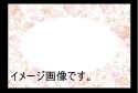 洋風・中華テーブルマット(100枚入) ローズガーデン No.502拍卖