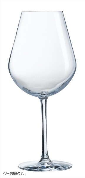 ARCOROC 【業務用】 アロマップ オーキー 41(6ケ入) U1903(04318) <RAR0402>拍卖