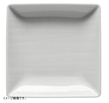 リック 【業務用】 RT メッシュ 11770-15288 スクエアプレート 10cm <RLCN401>拍卖