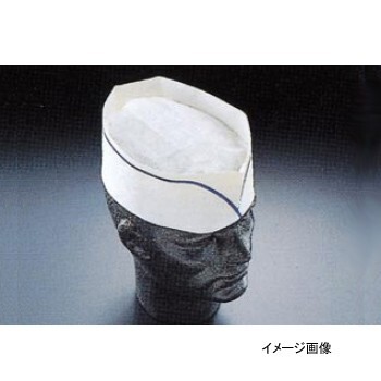 フォレージハット A95008 青ライン (100枚入)拍卖