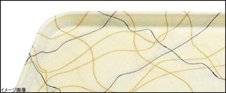 CAMBRO(キャンブロ) カムトレー(FRP) ブラック&ゴールド 1622拍卖