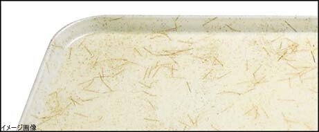 CAMBRO(キャンブロ) カムトレー(FRP) アンチークパーチメントゴールド 1216拍卖