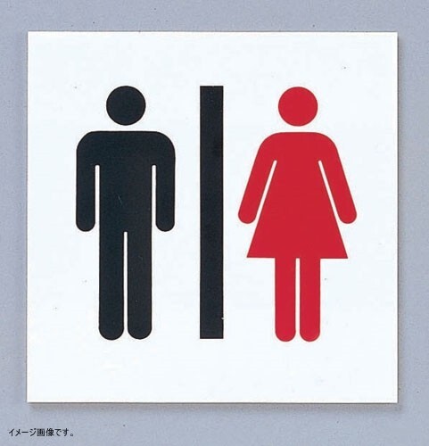 光 点字サイン 男女マーク 00871578-1 TS2122-3拍卖