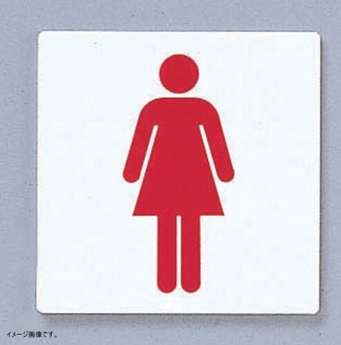 光 点字サイン 女マーク 00871571-1 TS514-2拍卖