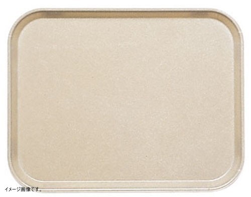 CAMBRO(キャンブロ) カムトレー(FRP) デザートタン 1418拍卖