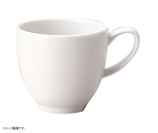 COSTA VERDE ECOS カップ 100 CV0304 (EC)拍卖