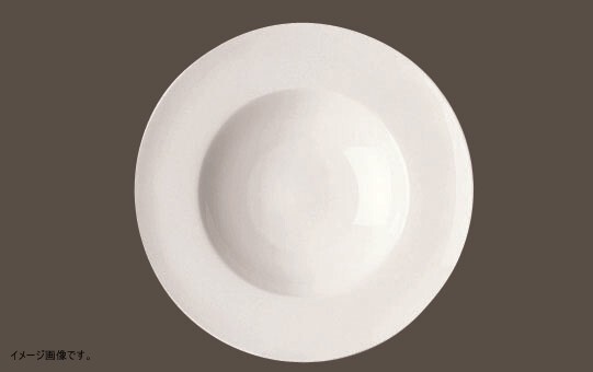 ローゼンタール 【業務用】 RT ジェイド 10640-31223 リムスーププレート 23cm <RLCK901>拍卖