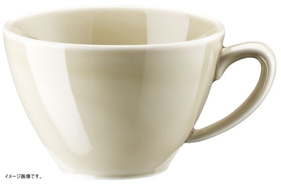 リック 【業務用】 RT メッシュ 405153ー14642 コーヒーカップ <RLCP901>拍卖