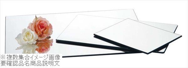 ブッフェステーション 長角ミラートレー M5032(M)500×320拍卖