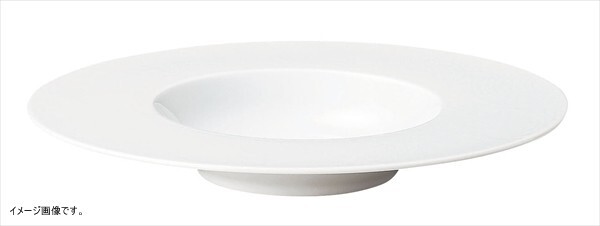 COSTA VERDE ECOS グルメプレート 29cm CV2912 (EC)拍卖