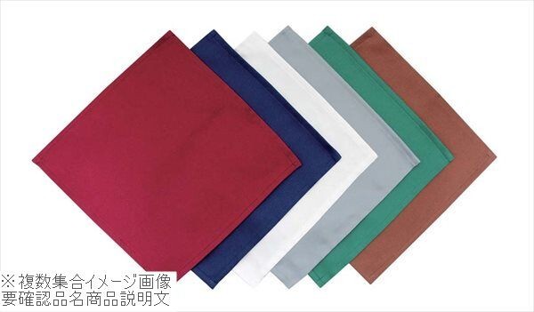 EBM カトラリーケース用ナプキン(10枚入)ディープグリーン 230×230拍卖